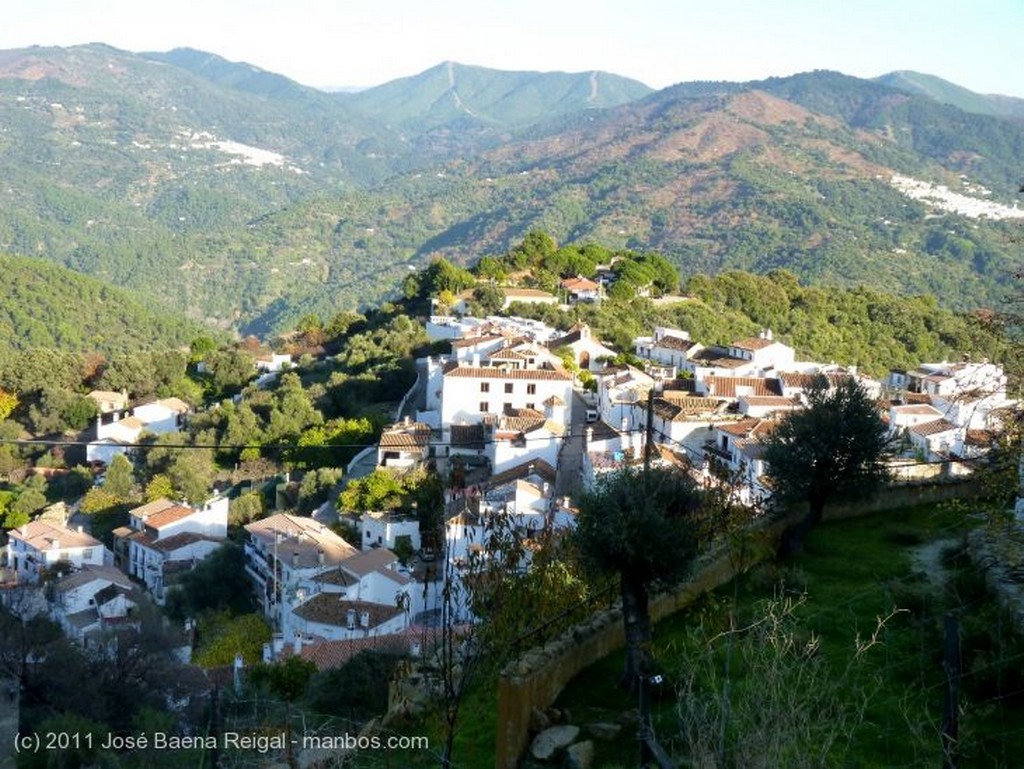 Valle del Genal
Arre, burro arre
Malaga