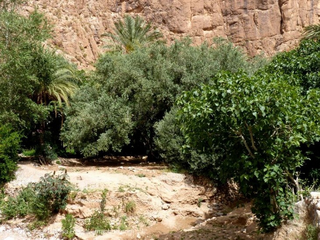 Gargantas del Todra
Rocas junto al cauce
Ouarzazate