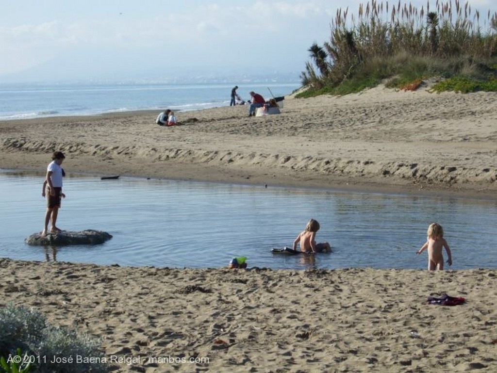 Marbella
Palmeras y dunas
Malaga