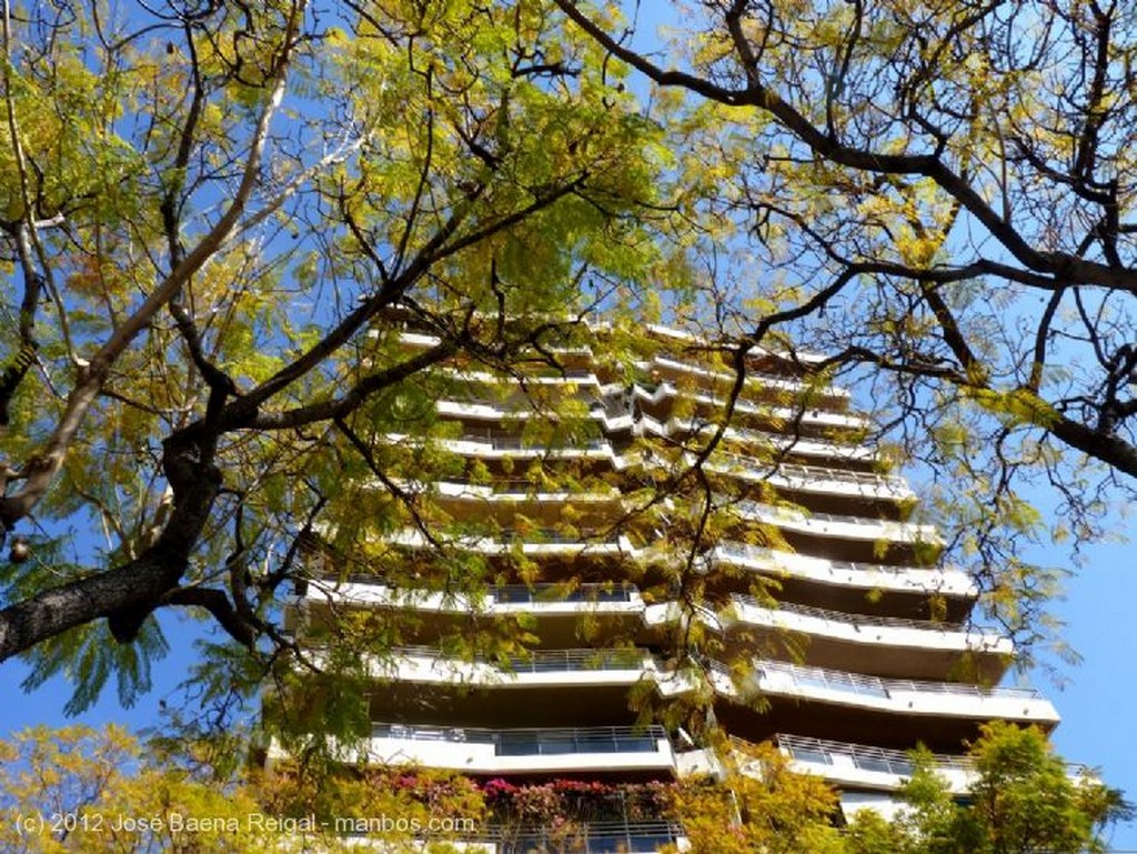 Foto de Malaga, Calle Compositor Lemhberg Ruiz, España - La primavera llega