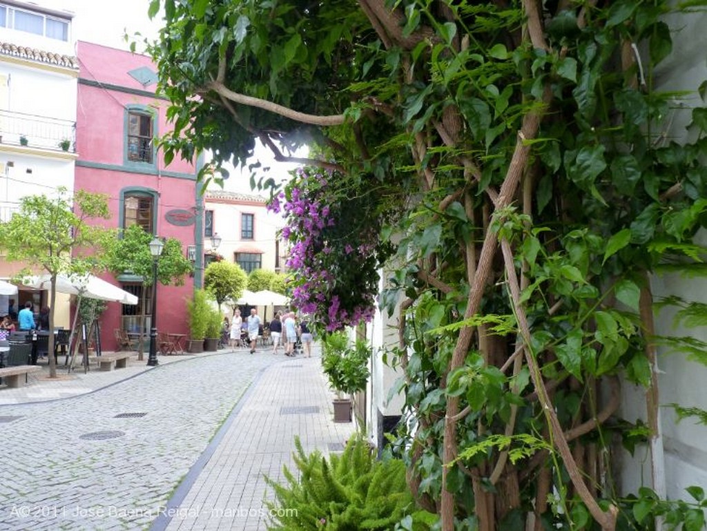 Foto de Marbella, Plaza Puente Ronda, Malaga, España - Plantas trepadoras