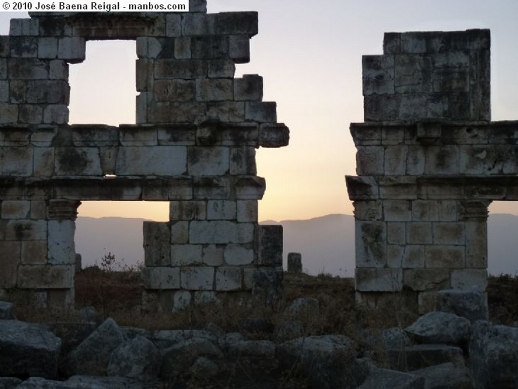 Apamea
Pequeño vendedor de postales
Siria