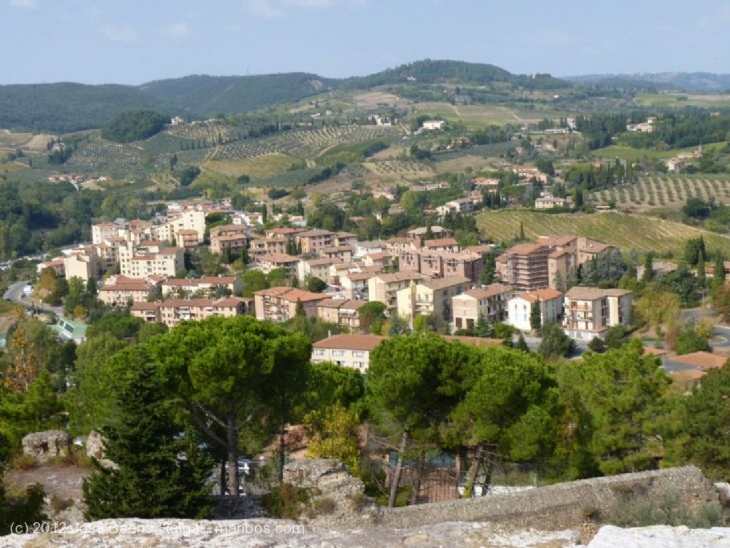 San Gimignano
Dos viejos cipreses
Siena