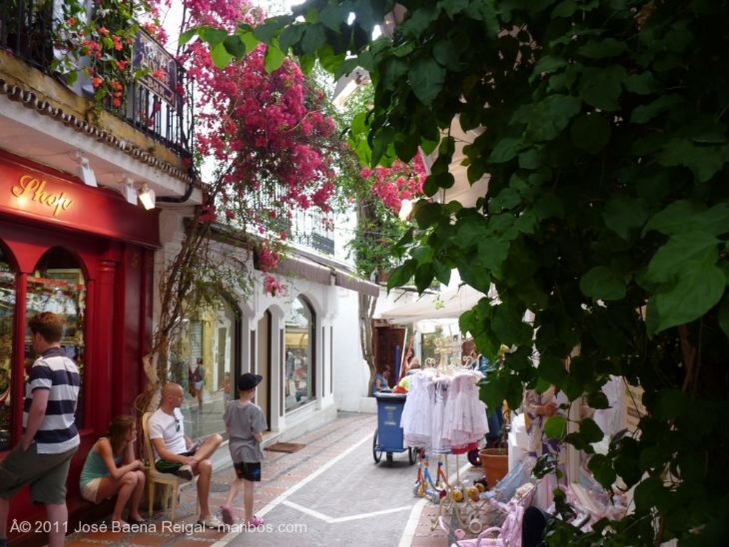 Marbella
Zumos frescos
Malaga