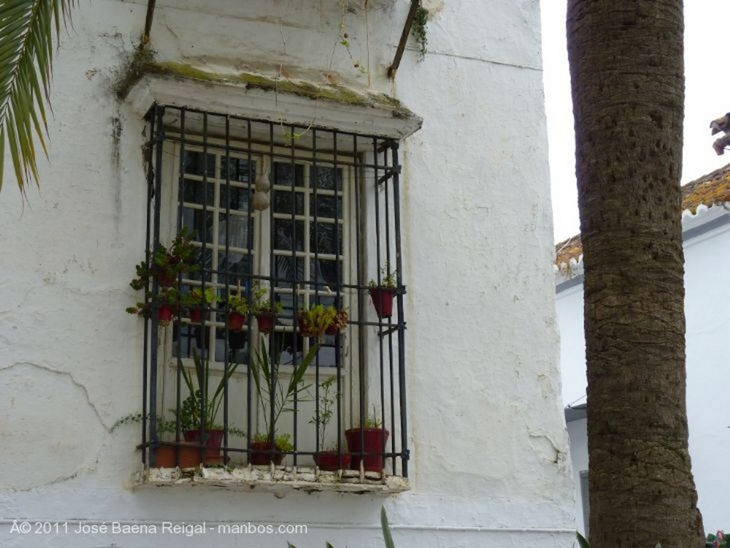 Marbella
Reja
Malaga