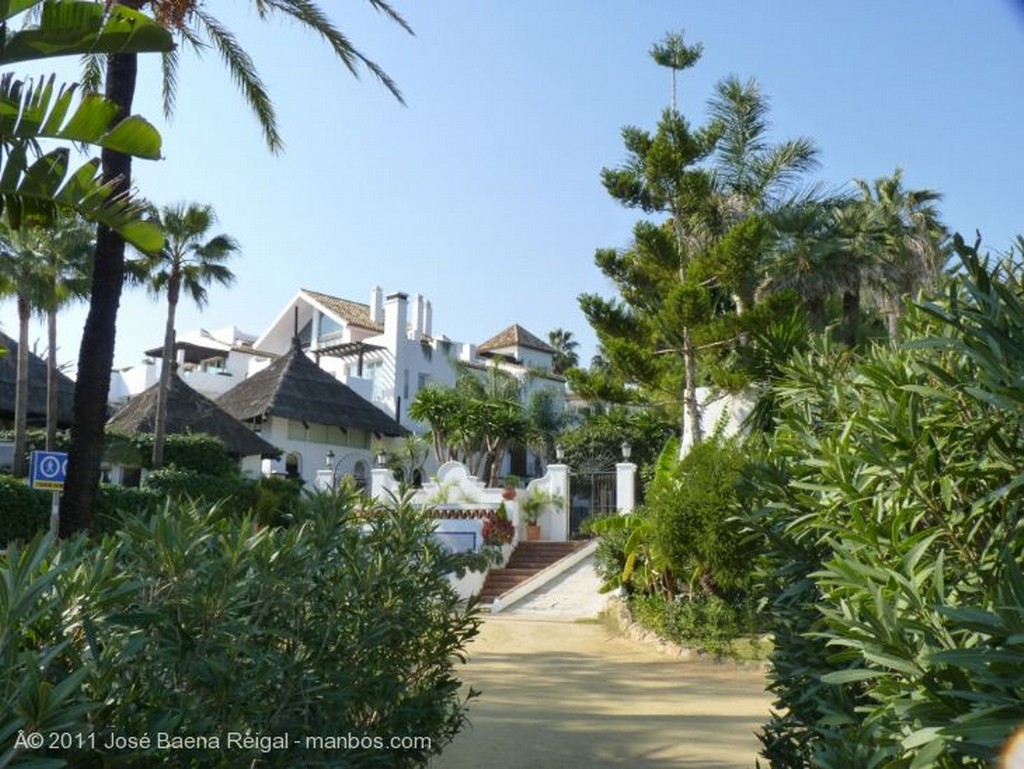 Marbella
Palmera solitaria
Malaga