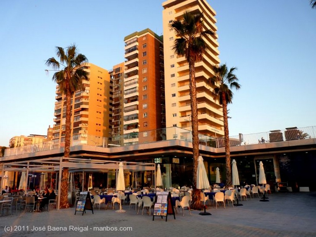 Malaga
Con Gibralfaro al fondo
Malaga