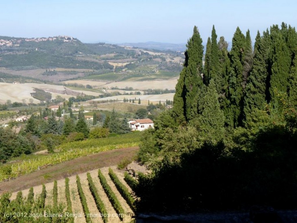 Montepulciano
Octubre dorado
Siena