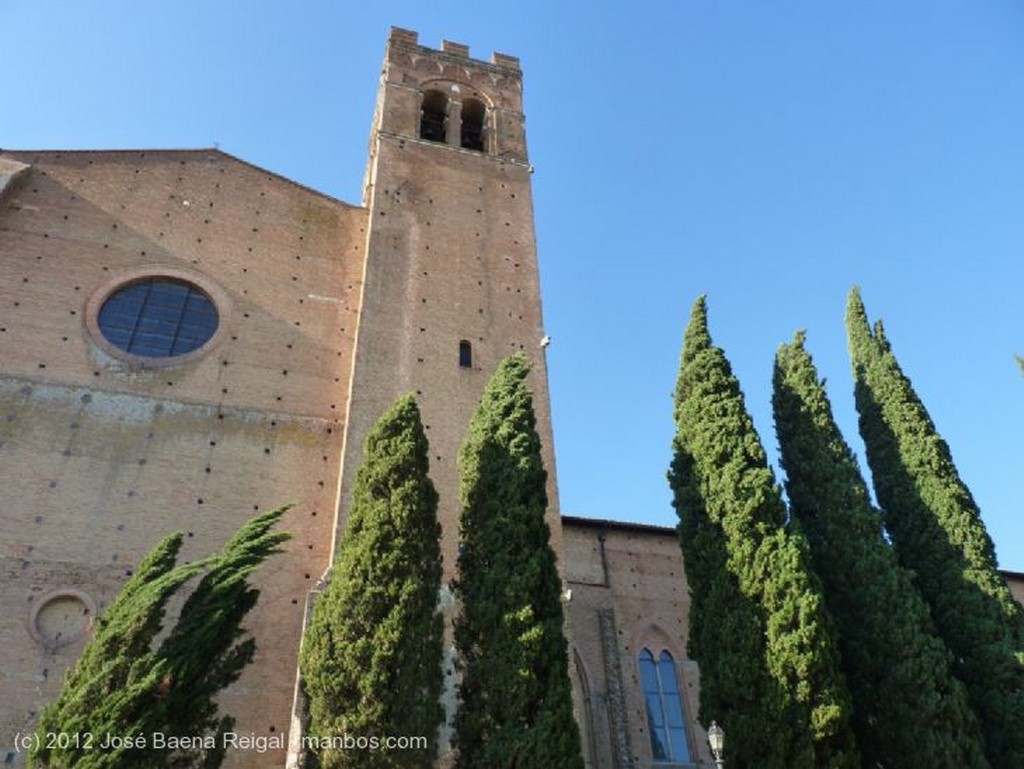 Siena
Palomas invasoras
Toscana