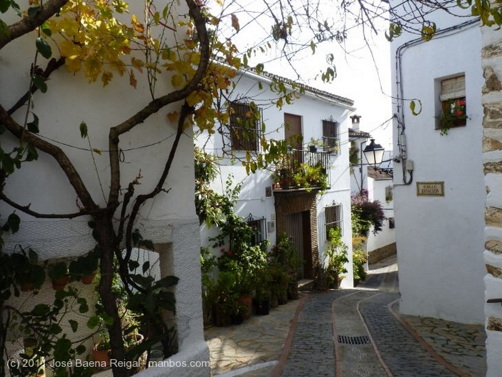 Valle del Genal
Calle Alta
Malaga