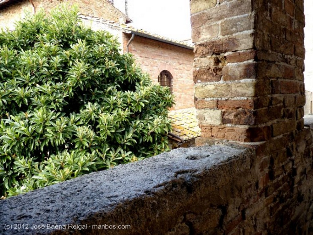 San Gimignano
Arco dei Becci
Siena