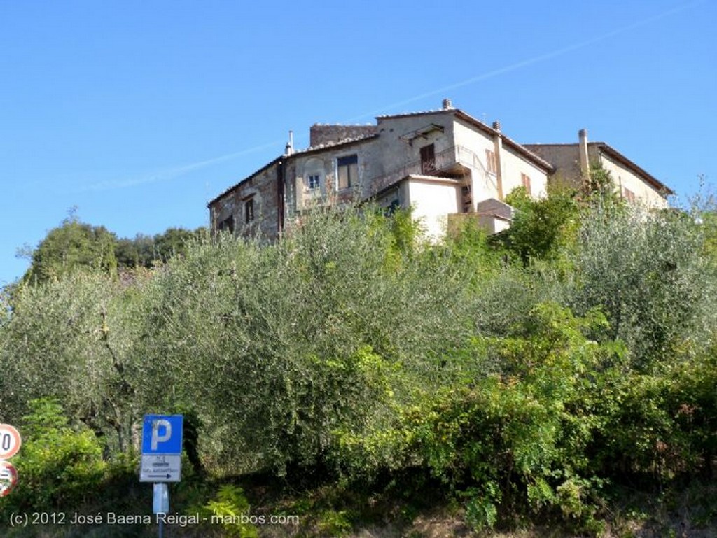 Montepulciano
Arboleda en octubre
Siena