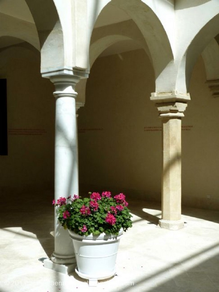 Foto de Malaga, Museo Carmen Thysenn, España - Patio del Palacio de Villalon