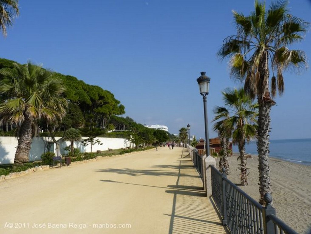 Marbella
Explosion amarilla
Malaga