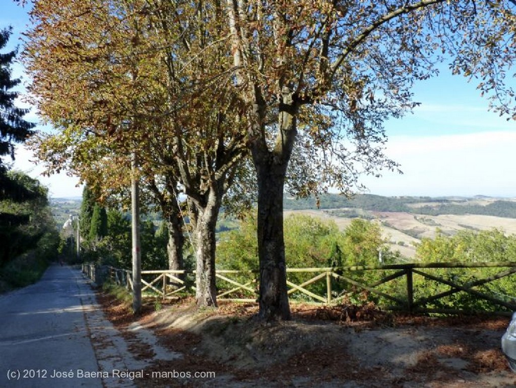 Montepulciano
En la cumbre de la colina
Siena