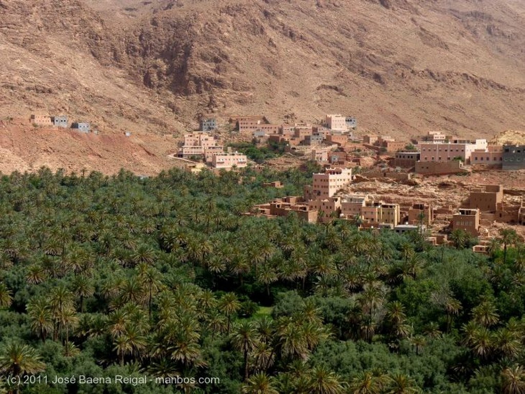 Gargantas del Todra
Casas y palmeral
Ouarzazate