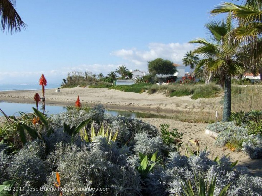 Marbella
Remojo en diciembre
Malaga