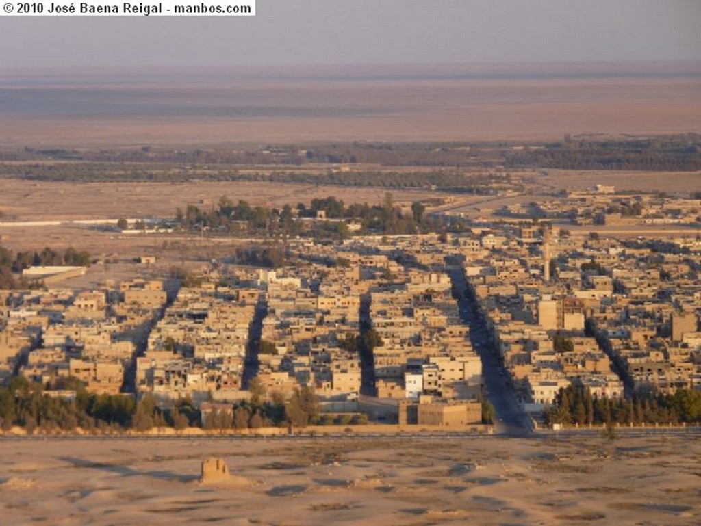 Palmira
Entrada al Qalaat ibn Maan
Tadmor