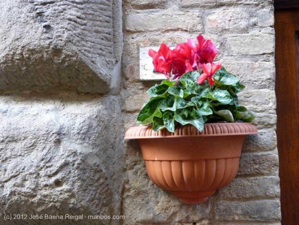 Volterra
Detalle italianisimo
Pisa