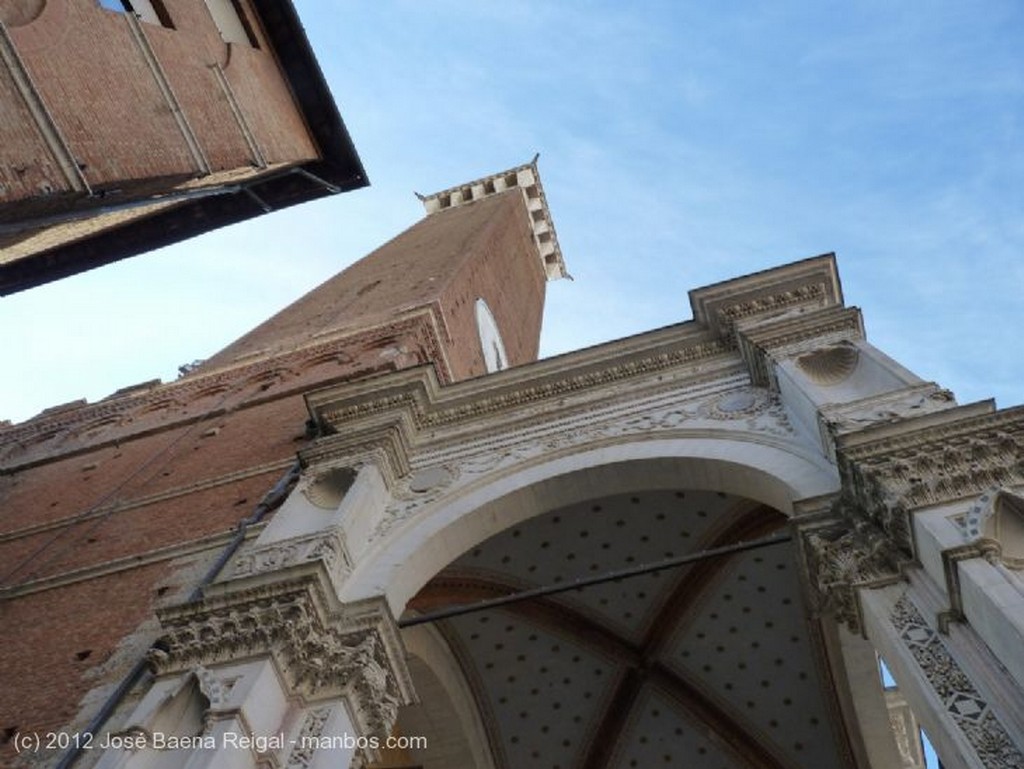 Siena
Cipreses altivos
Toscana