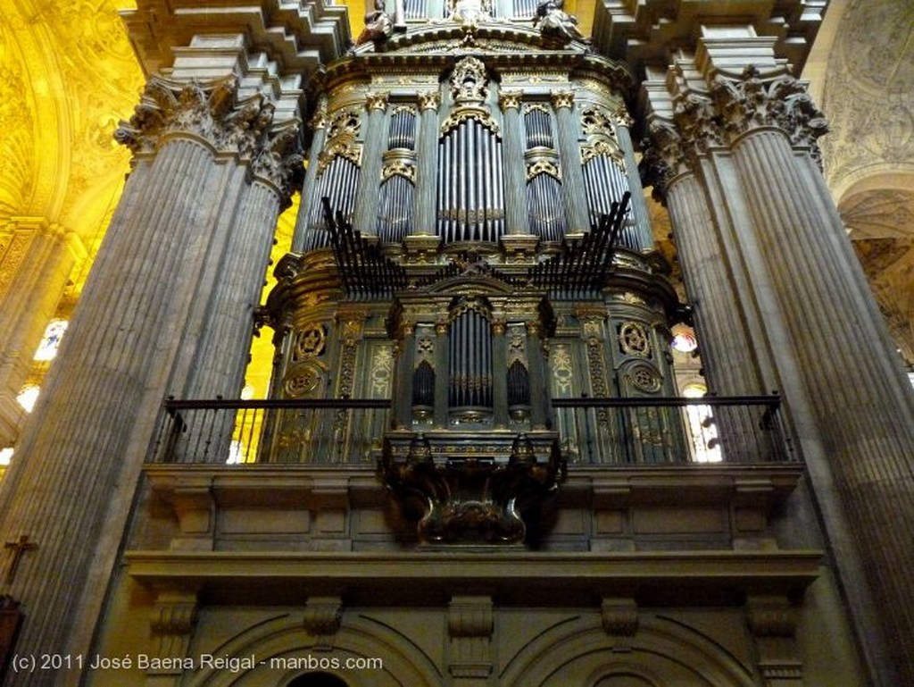 Malaga
Organo de Julian de la Orden
Malaga