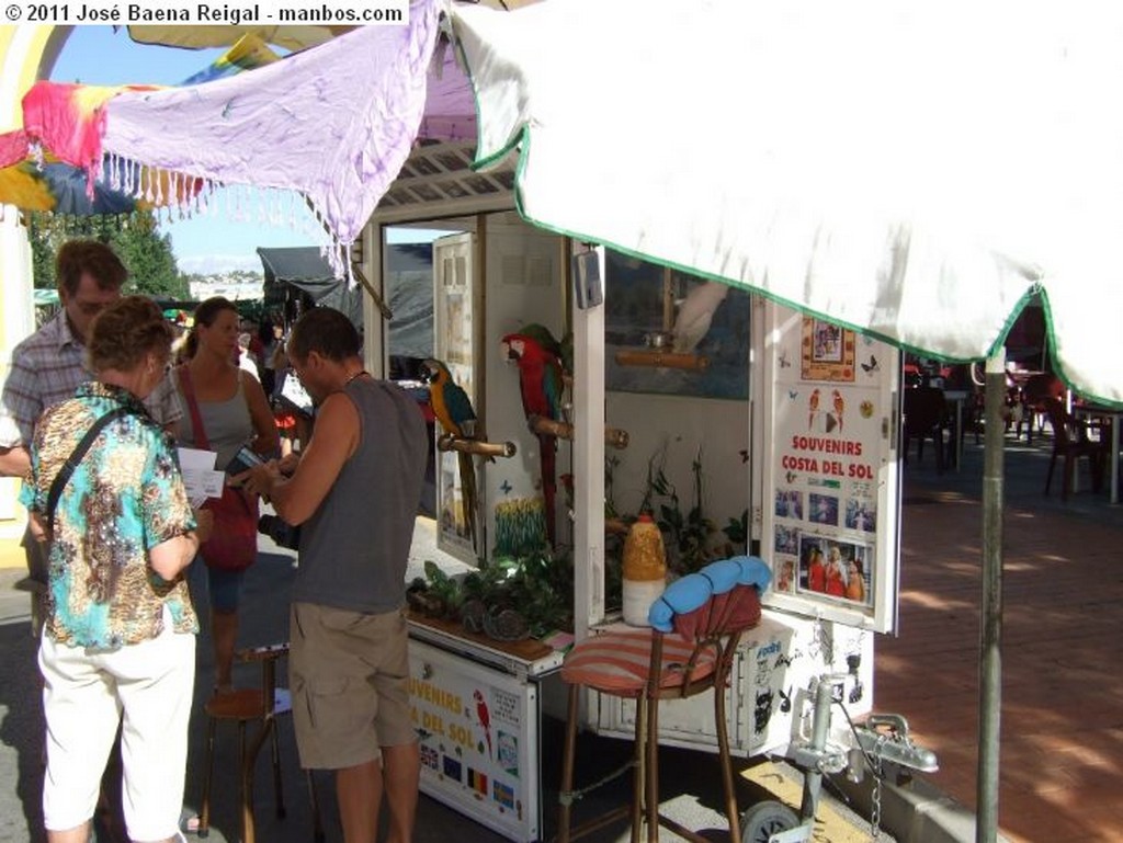 Fuengirola
De la huerta
Malaga