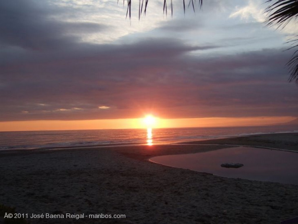 Marbella
Palmeras y dunas
Malaga