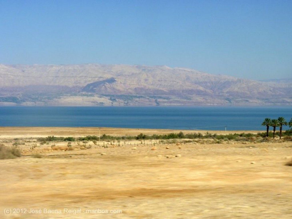 Masada
Palmeral junto al Mar Muerto
Distrito Meridional