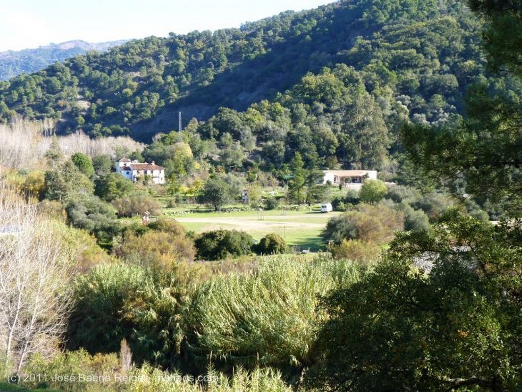 Valle del Genal
Arboles del corcho
Malaga