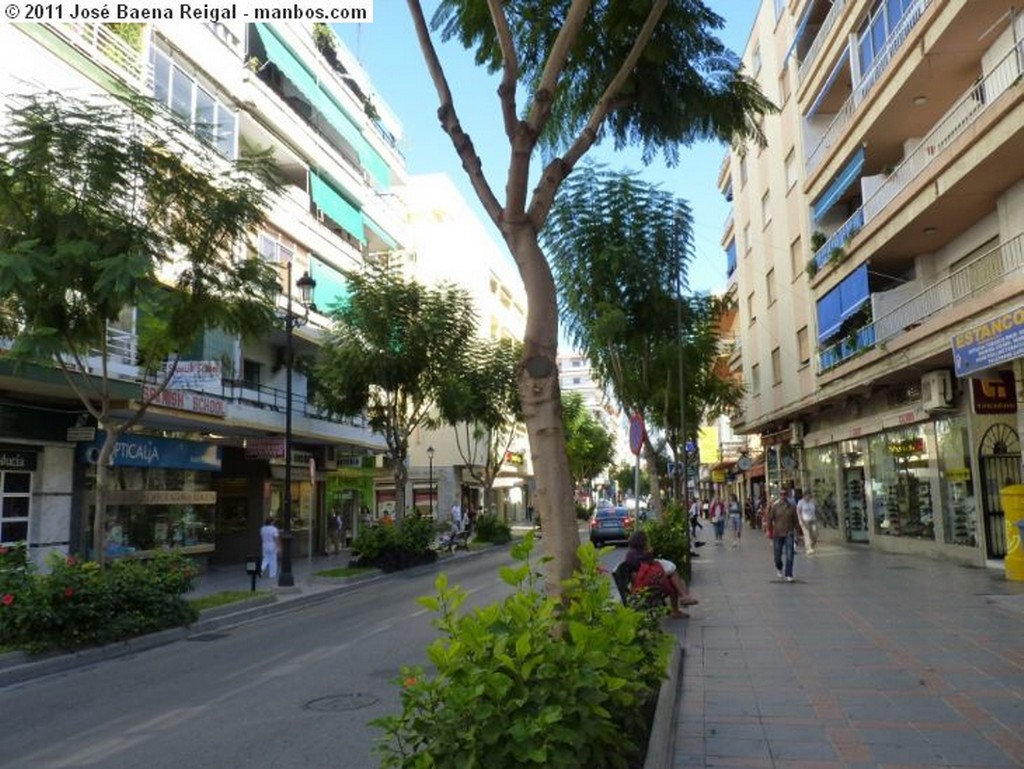 Foto de Fuengirola, Avda. de Ramon y Cajal, Malaga, España - Jacarandas