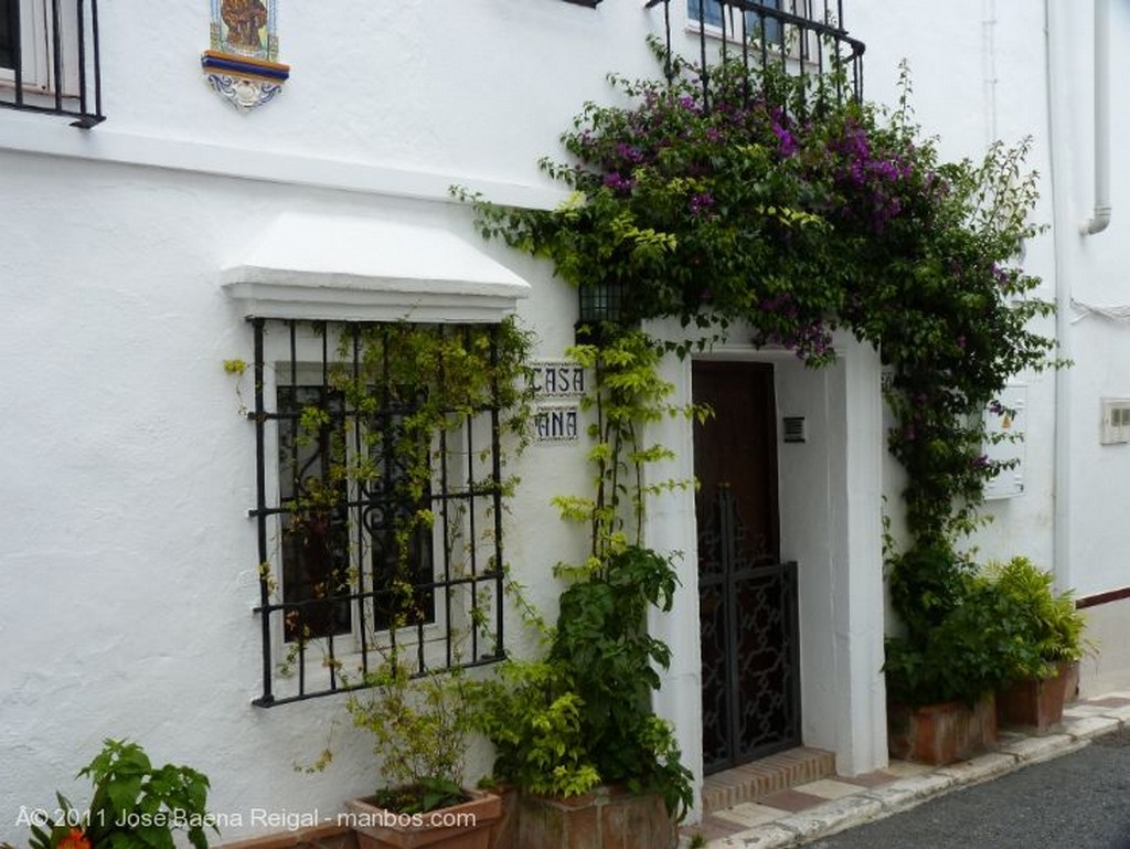 Marbella
Balcon con begonias
Malaga