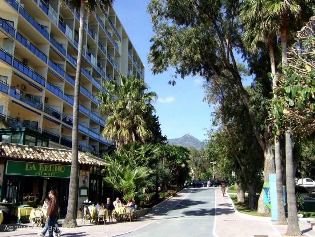 Foto de Marbella, Calle Skol, Malaga, España - Calles arboladas