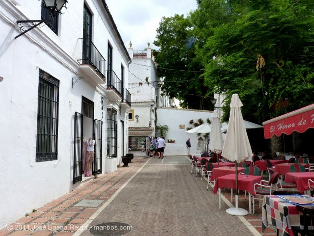 Marbella
Terraza sombreada 
Malaga