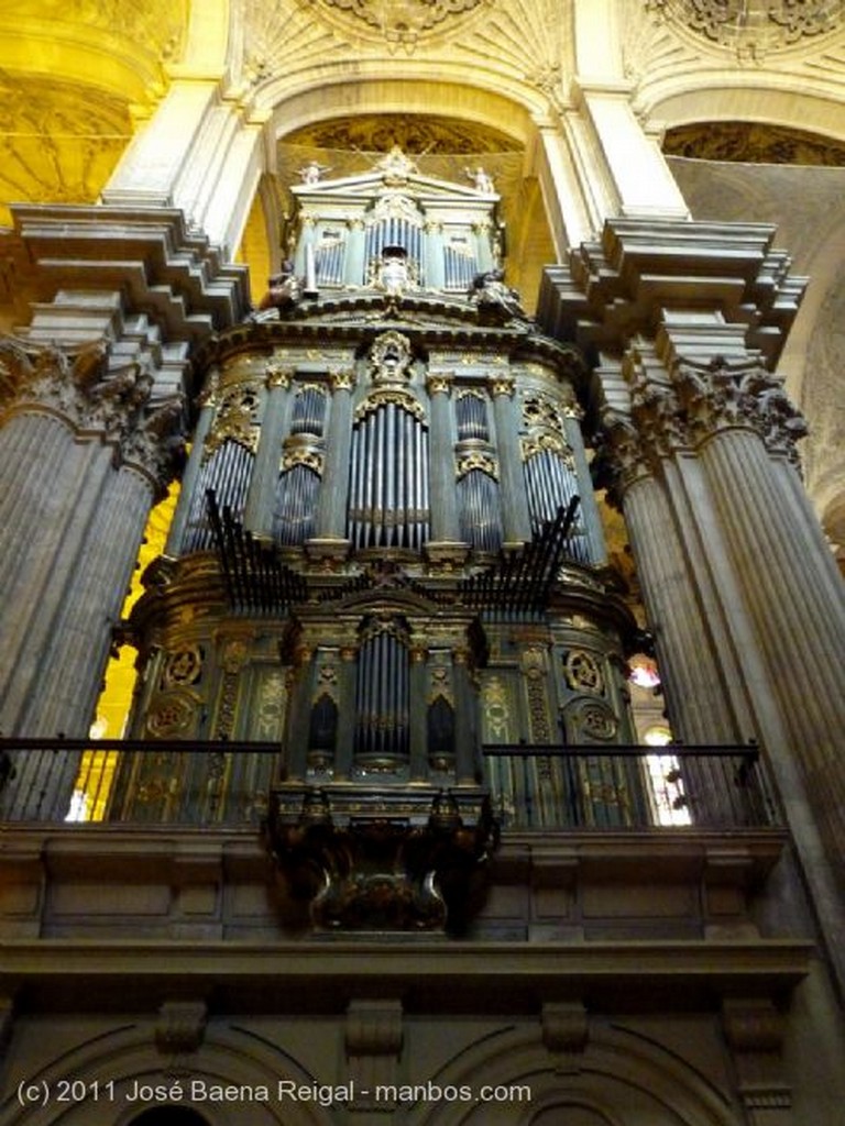 Malaga
Piedad de los hermanos Pisani
Malaga