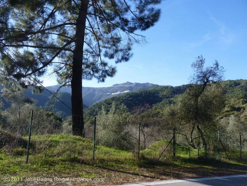 Foto de Valle del Genal, Carretera comarcal, Malaga, España - Cuesta de Algatocin