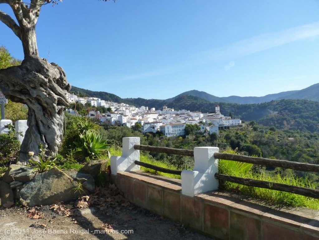 Valle del Genal
En un vasto dominio
Malaga