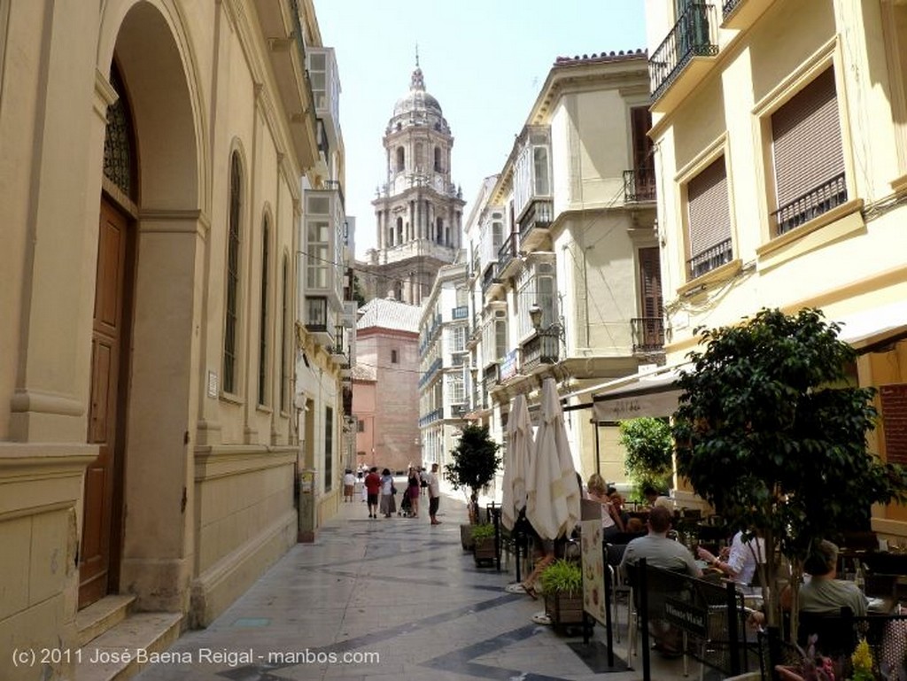 Malaga
Con la Catedral al fondo
Malaga