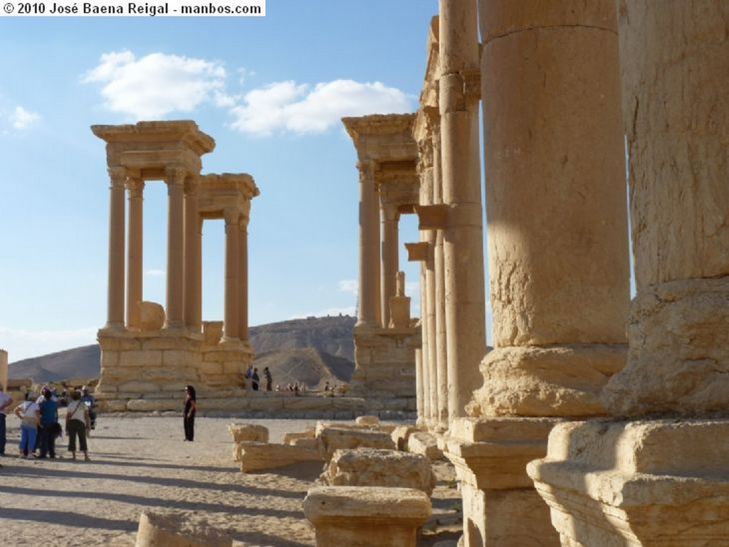 Palmira
Ruinas y Qalaat ibn Maan
Tadmor