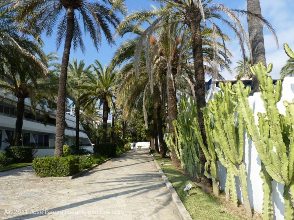 Marbella
Chabola
Malaga