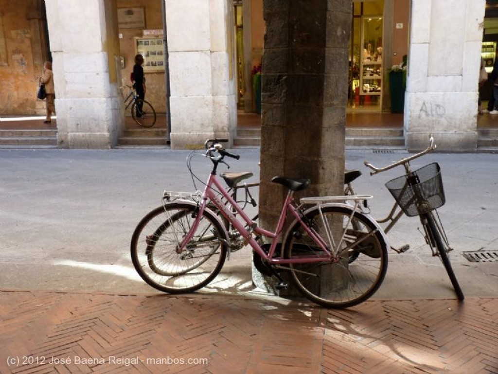 Pisa
Contra las malditas palomas
Toscana