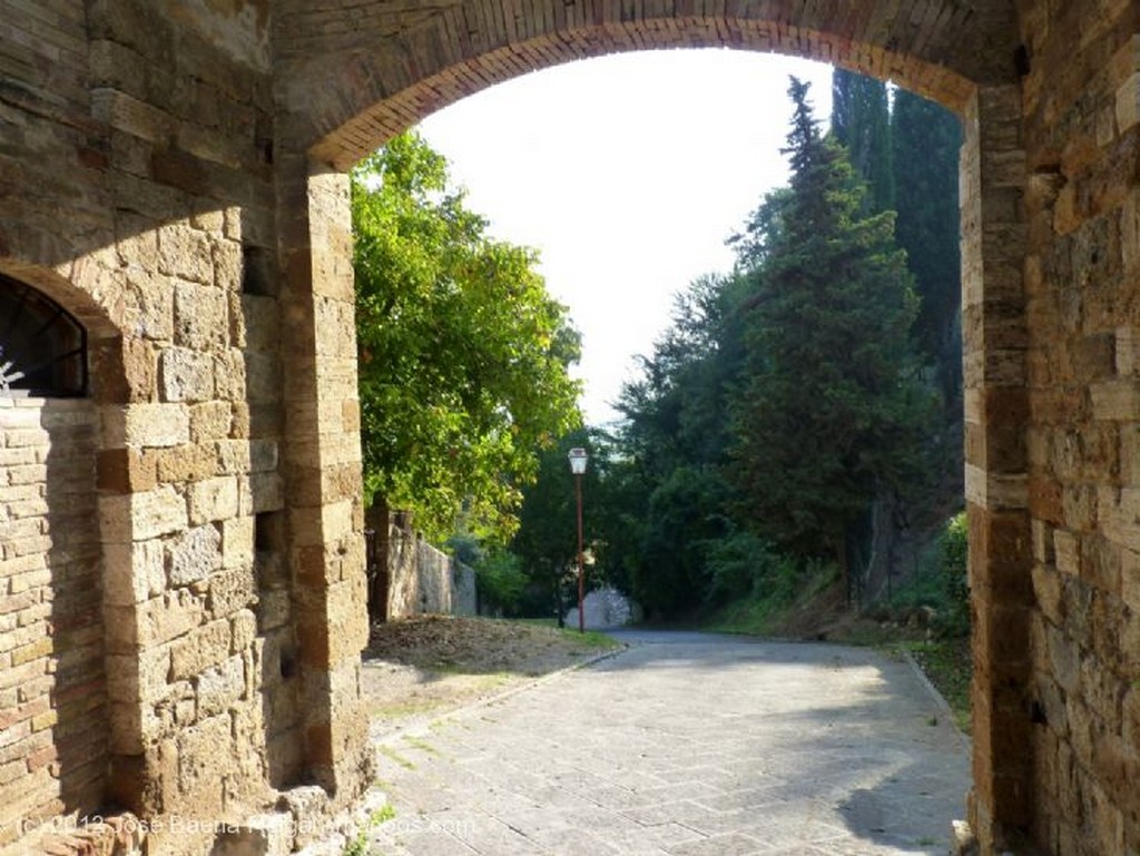 San Gimignano
Fachada con parra
Siena