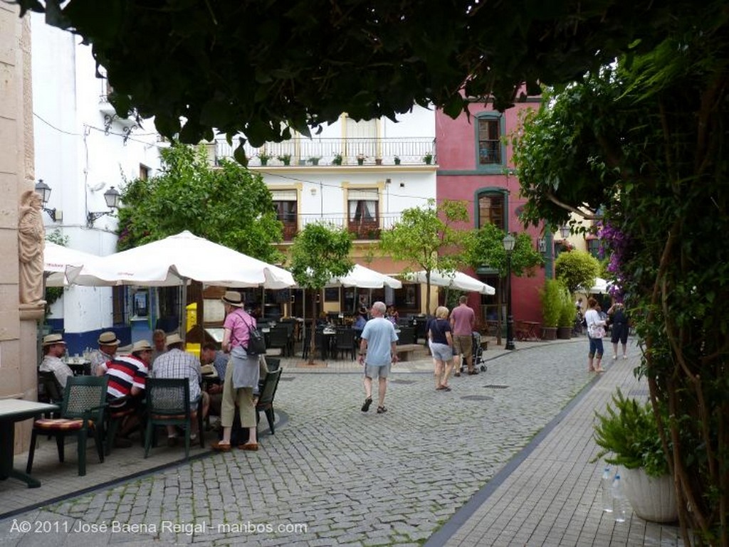 Marbella
Calle Alamo
Malaga