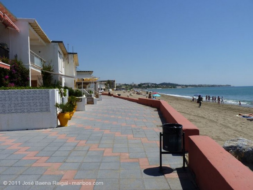 Mijas
Ave del paraiso blanca
Malaga