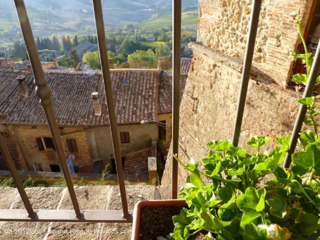 Montepulciano
Alqueria en el olivar
Siena