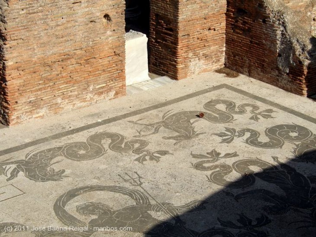 Ostia Antica
Mosaico marino
Roma