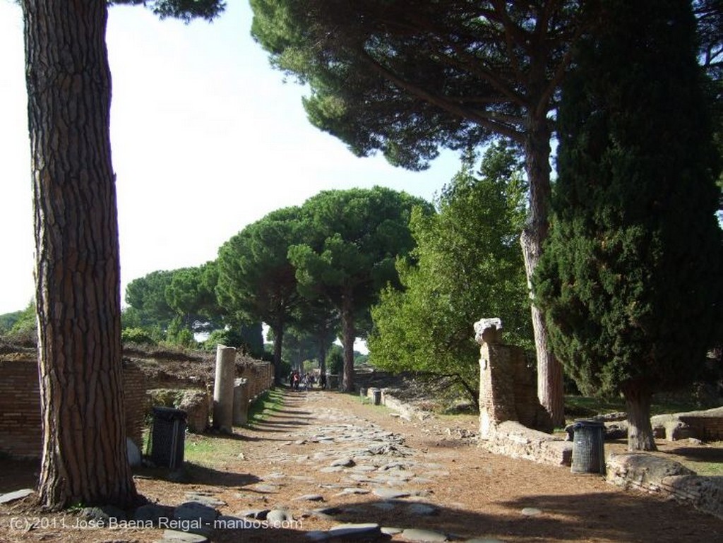 Ostia Antica 
Los pinos de Ostia
Roma
