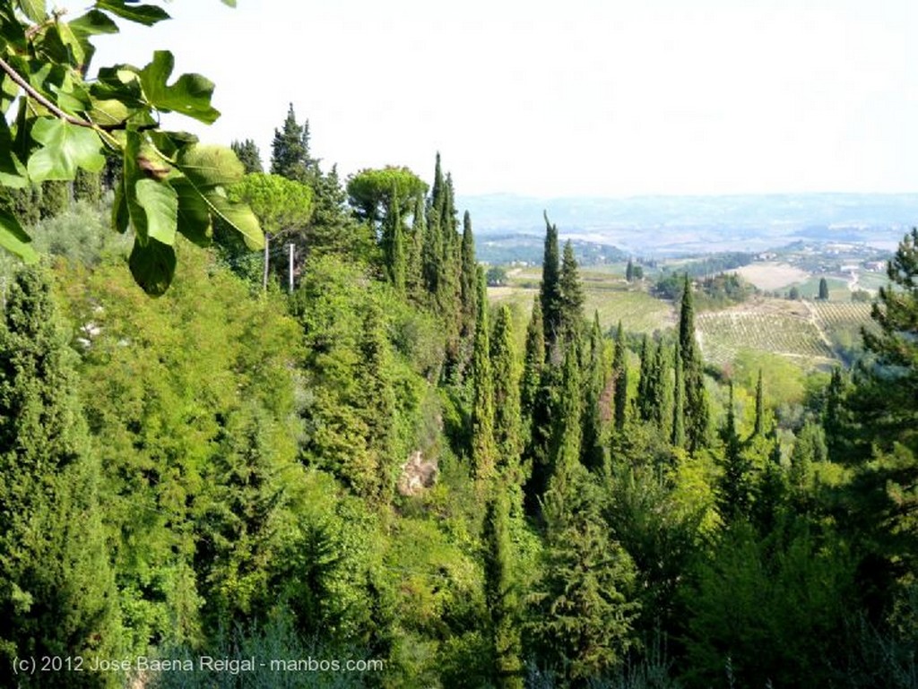 San Gimignano
Entramado medieval
Siena