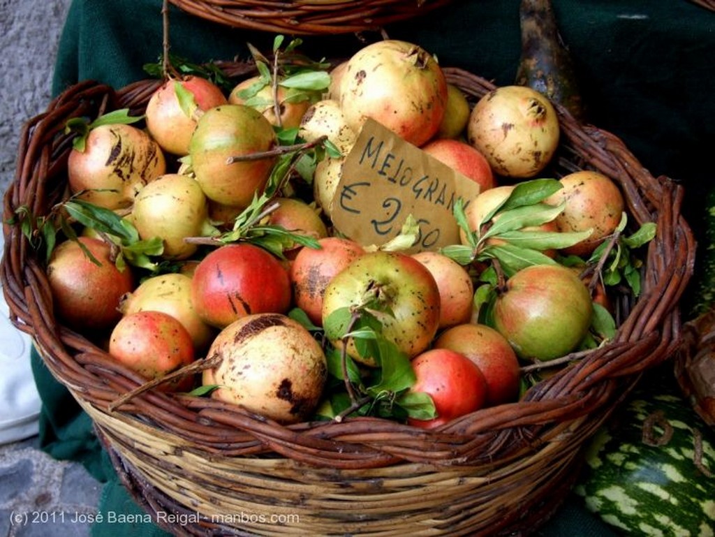 Nemi
Fruteria tipica
Lazio