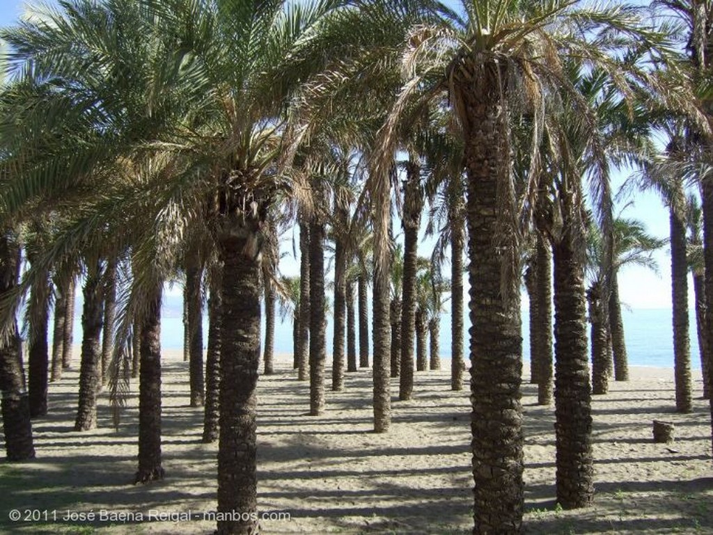 Torremolinos
Al sol de diciembre
Malaga