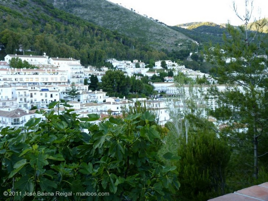 Mijas
Campos de Mijas
Malaga